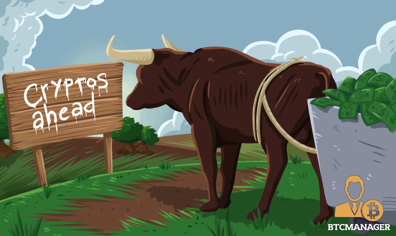 Ilustración de un toro atado a una caja con dinero junto a un cartel escrito a mano que indica el camino hacia las criptomonedas.